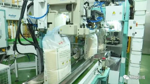 射陽大米首獲省政府農業技術推廣獎，技術創新引領產業升級